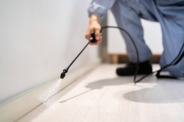 Certified termite inspector examining foundation in Bolivar Peninsula