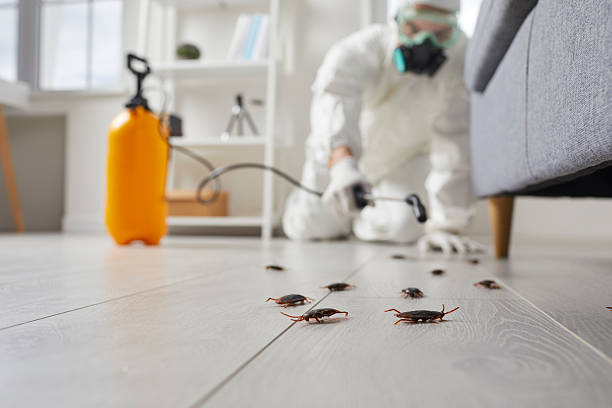 Commercial Kitchen Cockroach Control in Bolivar Peninsula